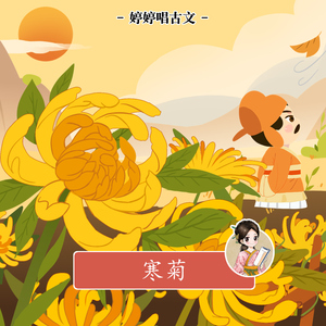 韩国大肚男BJ招妓自拍
