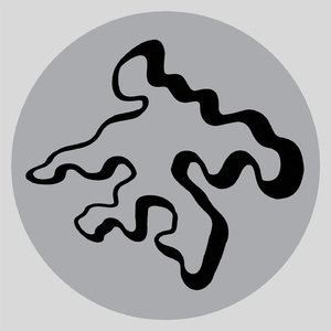 韩国大肚男BJ招妓自拍
