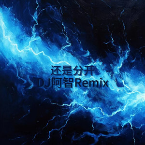 韩国大肚男BJ招妓自拍
